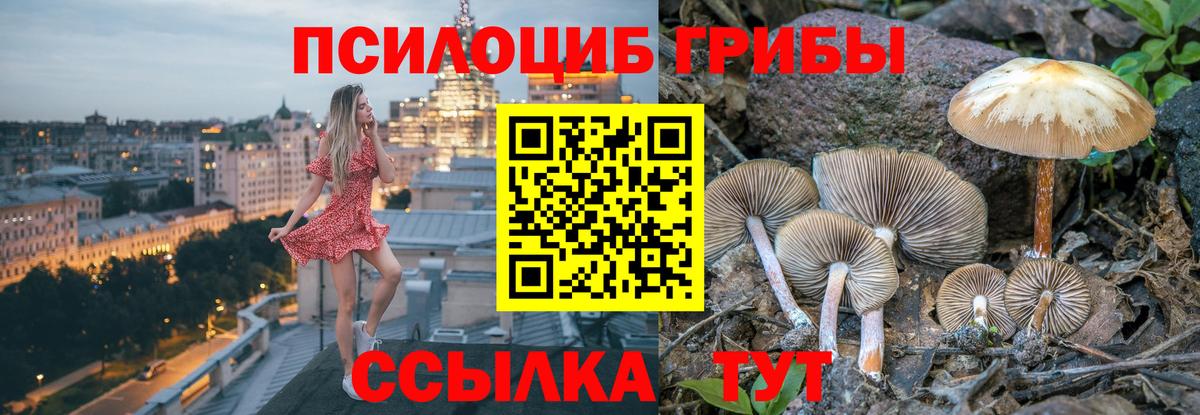 Галлюциногенные грибы ЛСД  Вход с VPN  Сердобск  наркотики  Галлюциногенные грибы Psilocybe 